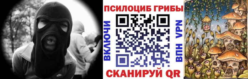 Псилоцибиновые грибы Cubensis  Алагир 
